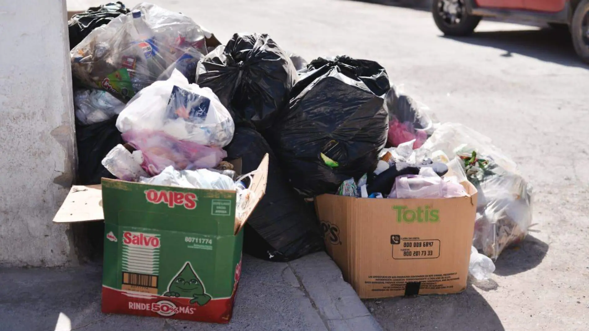 basura en Villa de Pozos (1)